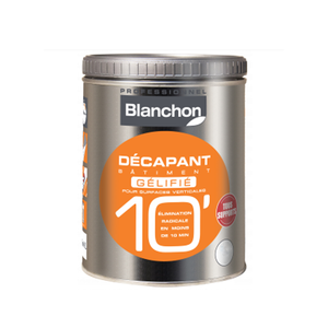 DECAPANT BATIMENT 10 BLANCHON 5L GELIFIE SURFACES VERTICALES